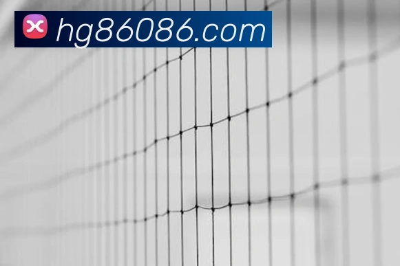 皇冠体育网站入口平台生态图